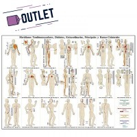Meridians Sheet: Tendinomuscular, different, extraordinary, main and collateral branches (sheet measurements: 70x50 cm) - OUTLET