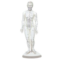 Female human body model 46 cm: 361 acupuncture points and 80 curious points