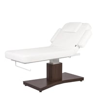 GOID Multifunction Electric Treatment Table: 1 Motor