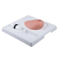 SONOtrain breast anatomical model with tumors for training in ultrasound, puncture, and biopsy diagnosis