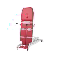 RAFFAELLO bariatric standing bed: three sections, with height and tilt adjustment via two electric motors (roll holder included)