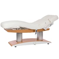 Three-section Troch SPA, aesthetics and massage table: Electric with four motors that regulate the height and inclination of the backrest