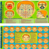 Sheet Reflexology of the face A4