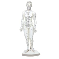 Female human body model 46 cm: 361 acupuncture points and 80 curious points