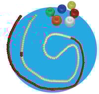 Aquatic lane rope Roma (Donut) with rope and carabiner (25 meters)