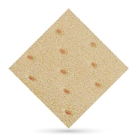 Herbiform Plus Perforated 2mm