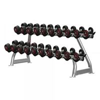 Softee Modern 20-Dumbbell Dumbbell Rack