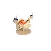 Device for ankle re-education exercises: ideal for rehabilitation and physiotherapy treatments