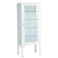 Clinical display case with enamelled steel door (150X60X35)
