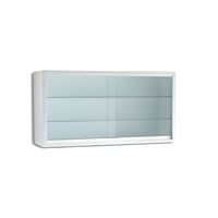 Wall-mounted clinical display case made of enamel with sliding glass doors and two shelves 120 x 60 x 30 cm