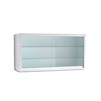 Enameled steel wall display case (120X30X60)