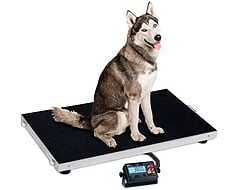 Veterinary Scales