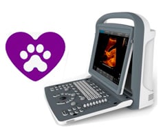 Veterinary Ultrasound