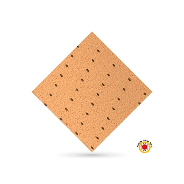 Evastar antibacterial: effective against Escherichia Coli and Staphylococcus Aureus bacteria (90 x 100 cm)