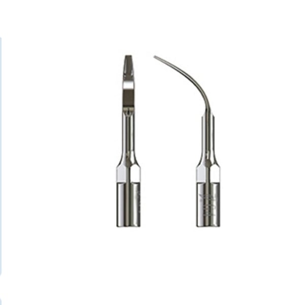 Punta ultrasound woodpecker type 