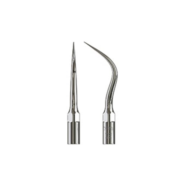 Punta ultrasound woodpecker type 