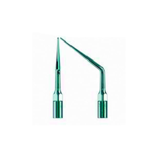 Punta ultrasound woodpecker type 