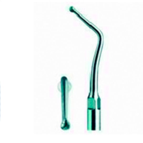 Punta ultrasound woodpecker 