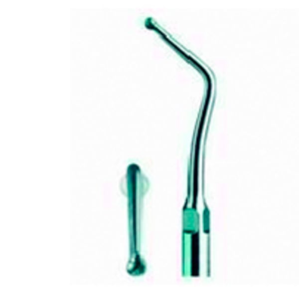 Punta ultrasound woodpecker type 