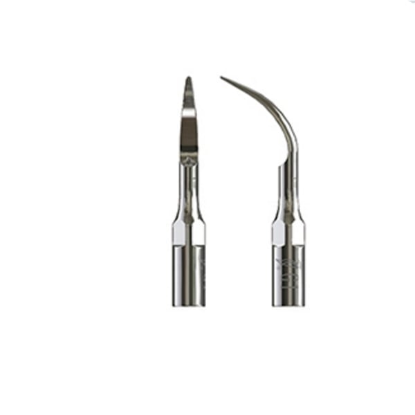 Punta ultrasound woodpecker type 