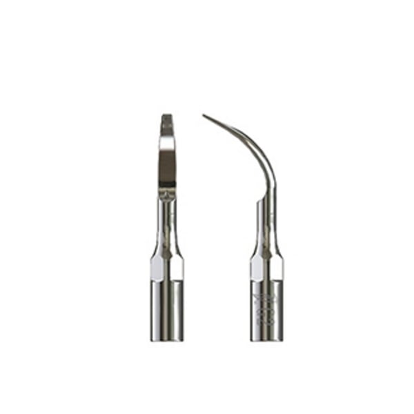 Punta ultrasound woodpecker type 