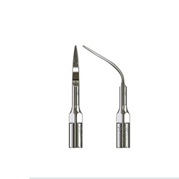 Punta ultrasound woodpecker type 