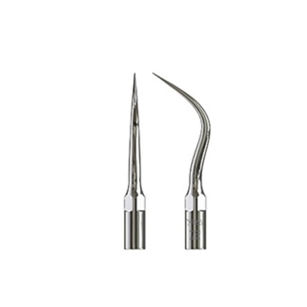 Punta ultrasound woodpecker type 