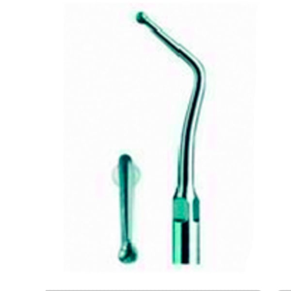 Punta ultrasound woodpecker type 