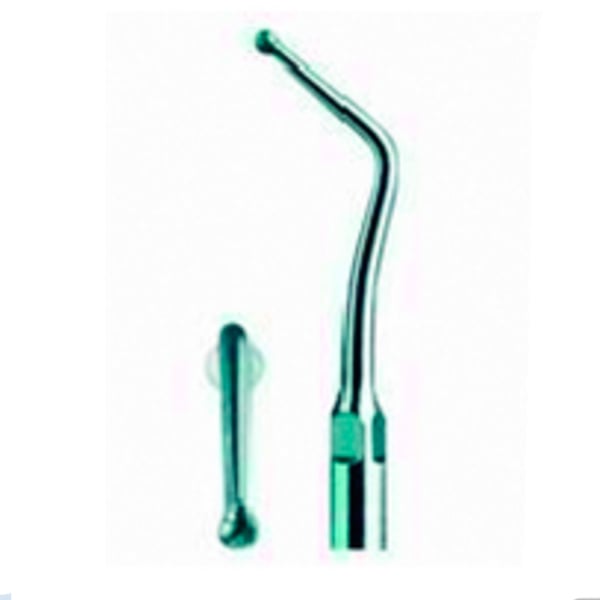 Punta ultrasound woodpecker type 