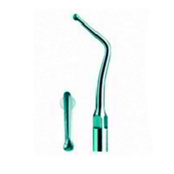 Punta ultrasound woodpecker type 