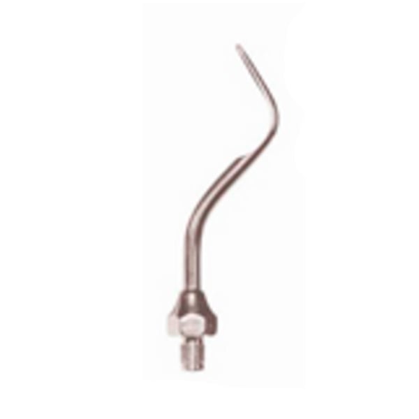 Punta ultrasound woodpecker type 