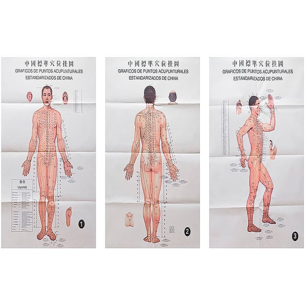Channels and Standardized Acupuncture Points (3 sheets)