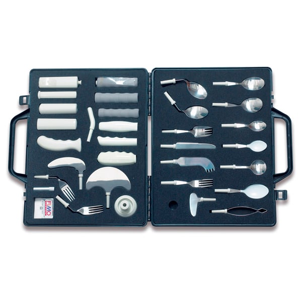 Professional Evaluation Case