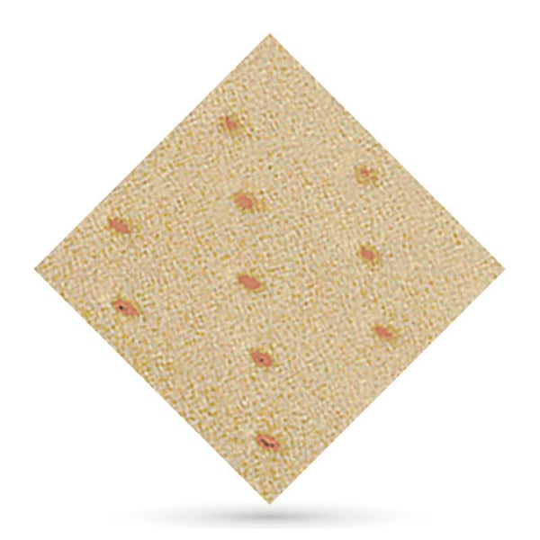 Herbiform Perforated Meat 1 x 1 meters 1.5mm