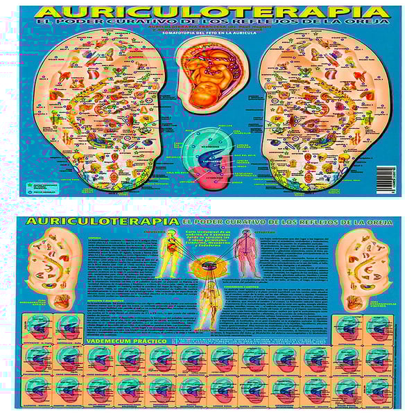 Auriculotherapy poster the healing power of the reflexes of the ear