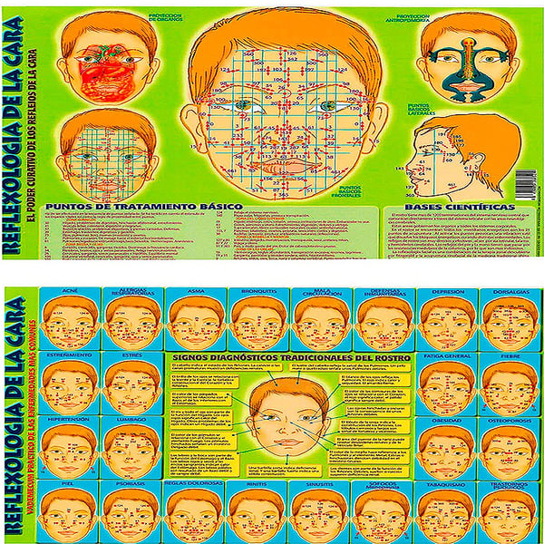 Sheet Reflexology of the face A4