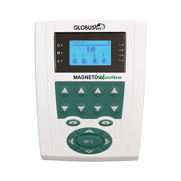 MagnetoVet 4000 Horse Pro: Magnetotherapy Therapy for Horses (blanket and neck cover with solenoids included)