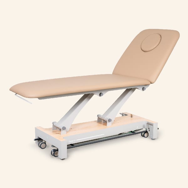 Nuuna 2L Pro Electric Treatment Table: 2 sections with 1 motor, 360° perimeter control, adjustable backrest and Naggura Skin upholstery (various colors)
