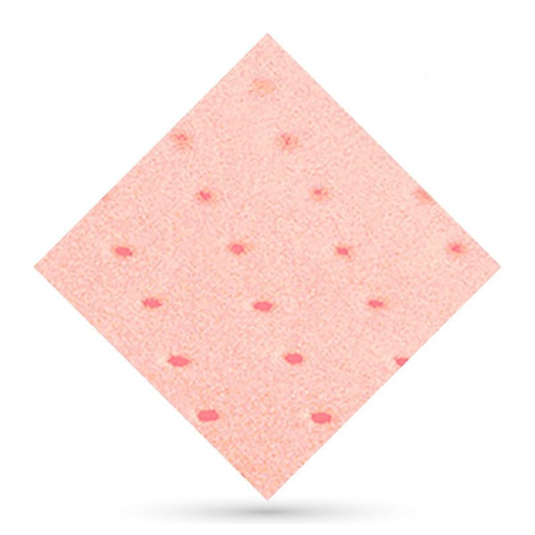 Perforated plastazote 3mm