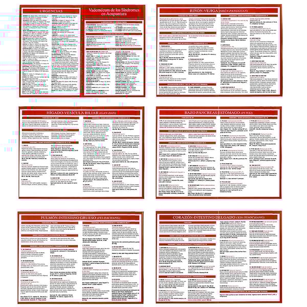 Vademecum of syndromes in acupuncture