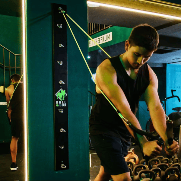 Bull & Box: Compact wall-mounted system for complete functional training, perfect for small spaces