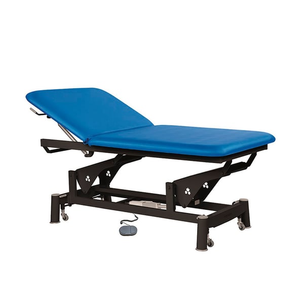 Ecopostural electric stretcher, Bobath type, ideal for specialties: two bodies with black connecting rod structure and T15 head (100 x 185 cm)