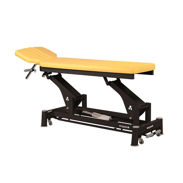 Ecopostural technical electric stretcher: two bodies with black connecting rod structure and T05 head (50 x 188 cm)