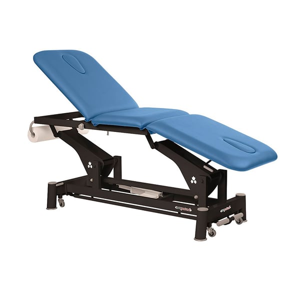Ecopostural electric stretcher: three bodies with black connecting rod structure and T13 head (62 x 198 cm)