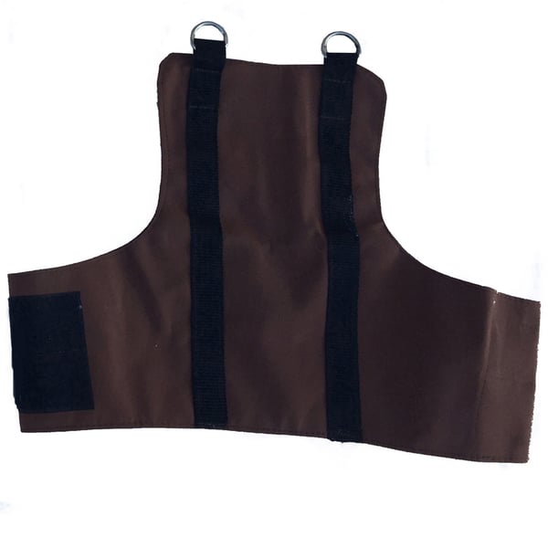 Reinforced felt chest strap