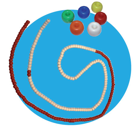 Aquatic lane rope Roma (Donut) with rope and carabiner (25 meters)