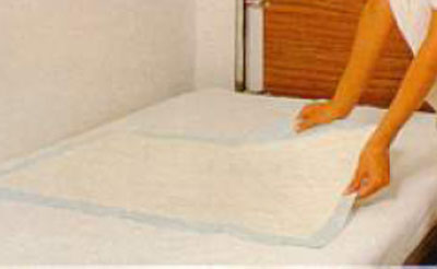 Cellulose Empapadores 60 X 60cm (200 units)