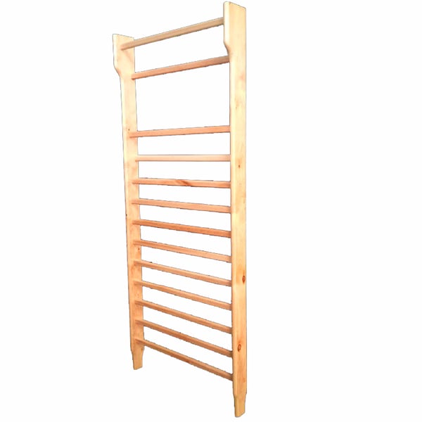 Back of a body in varnished beech wood