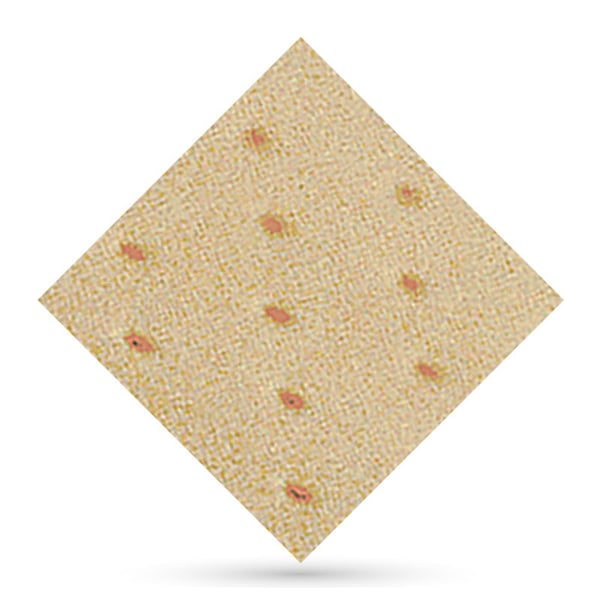 Herbiform Plus Perforated 2mm