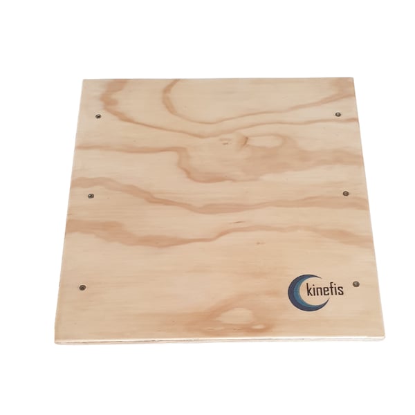 Boheler Kinefis board for ankle circumduction exercises